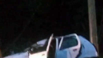 Árvore cai em cima de carro com família dentro em Blumenau; VÍDEO