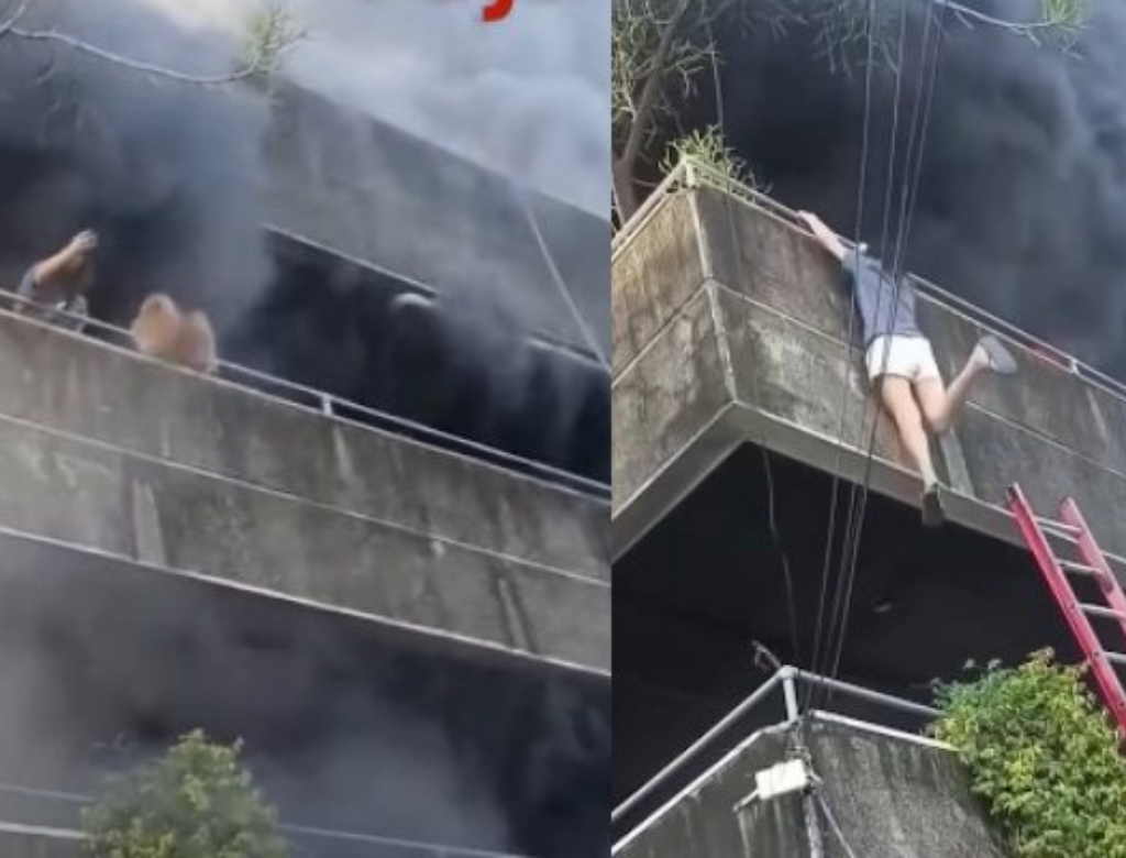Mulher joga cães da sacada para salvá-los de incêndio; veja vídeo