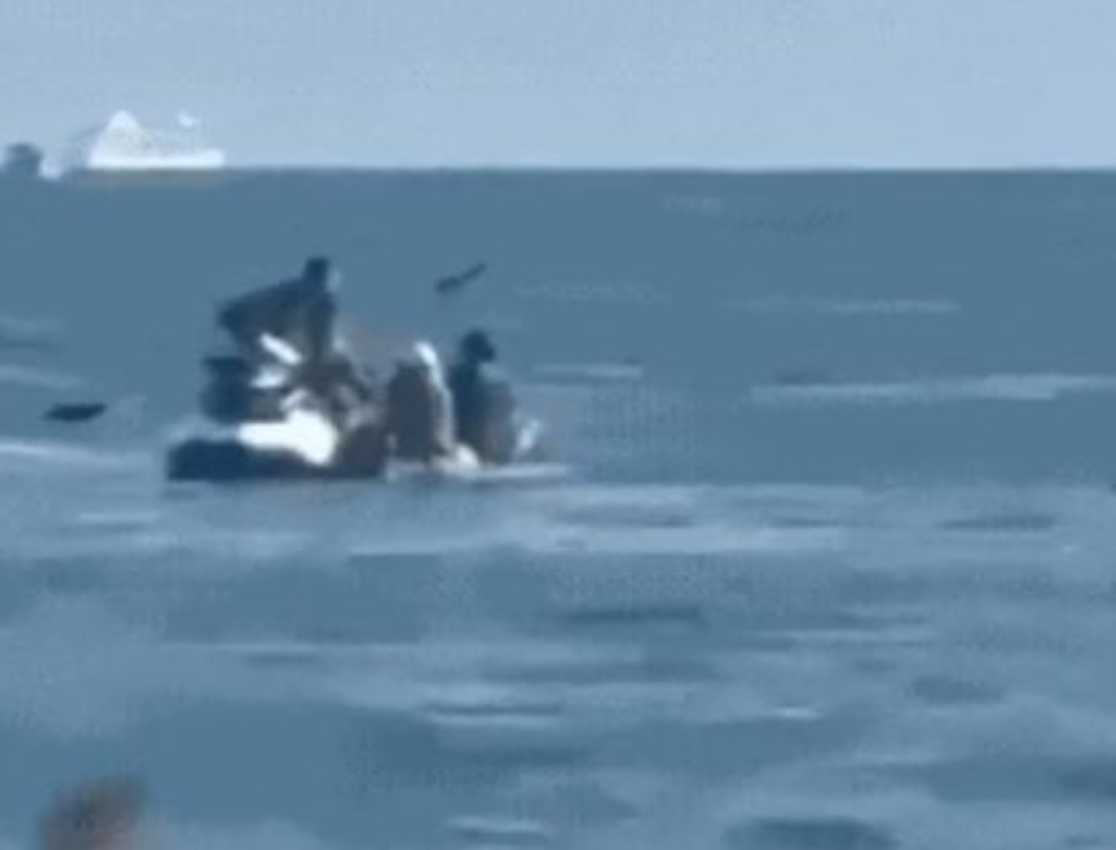Casal é rendido por assaltantes de moto aquática em alto-mar; veja vídeo