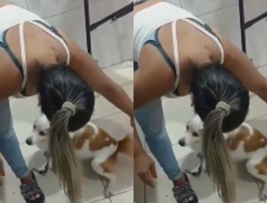 Dona de pet shop é flagrada maltratando cãozinho e cena revolta; veja vídeo
