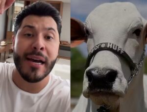 Murilo Huff detalha compra de vaca milionária e esclarece como pagamento foi feito