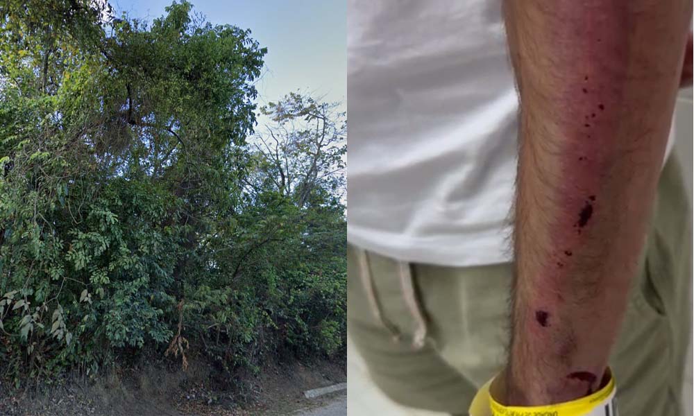 Após aceitar carona, turista é violentamente agredido, sequestrado e roubado; veja vídeo