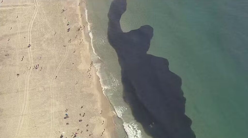 Cardume forma mancha escura de quase 1 km na praia de Copacabana; VEJA VÍDEO!