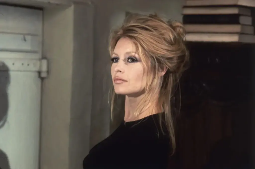 Adeus a Brigitte Bardot: ícone do cinema francês morre aos 91 anos 37 brigitte bardot