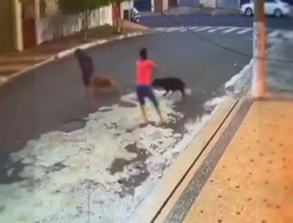 Ataque (Foto Reprodução Redes Sociais)
