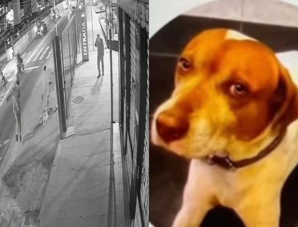 Crime (Foto Reprodução Redes Sociais)
