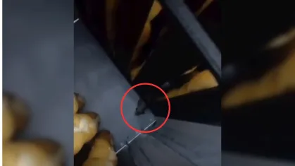 Ratos “andam” entre pães e dono de supermercado é preso; VEJA VÍDEO!