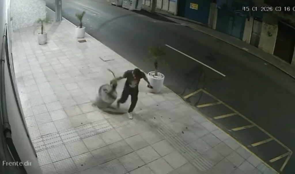 Câmeras flagram série de ataques e destruição em entrada de prédio; VEJA VÍDEO!
