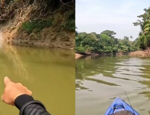 Pescador de rio leva susto e relata ver capivaras ‘voando’; VEJA VÍDEO