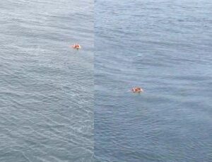 Pescador agarrado à porta de geladeira sobrevive a naufrágio; veja vídeo