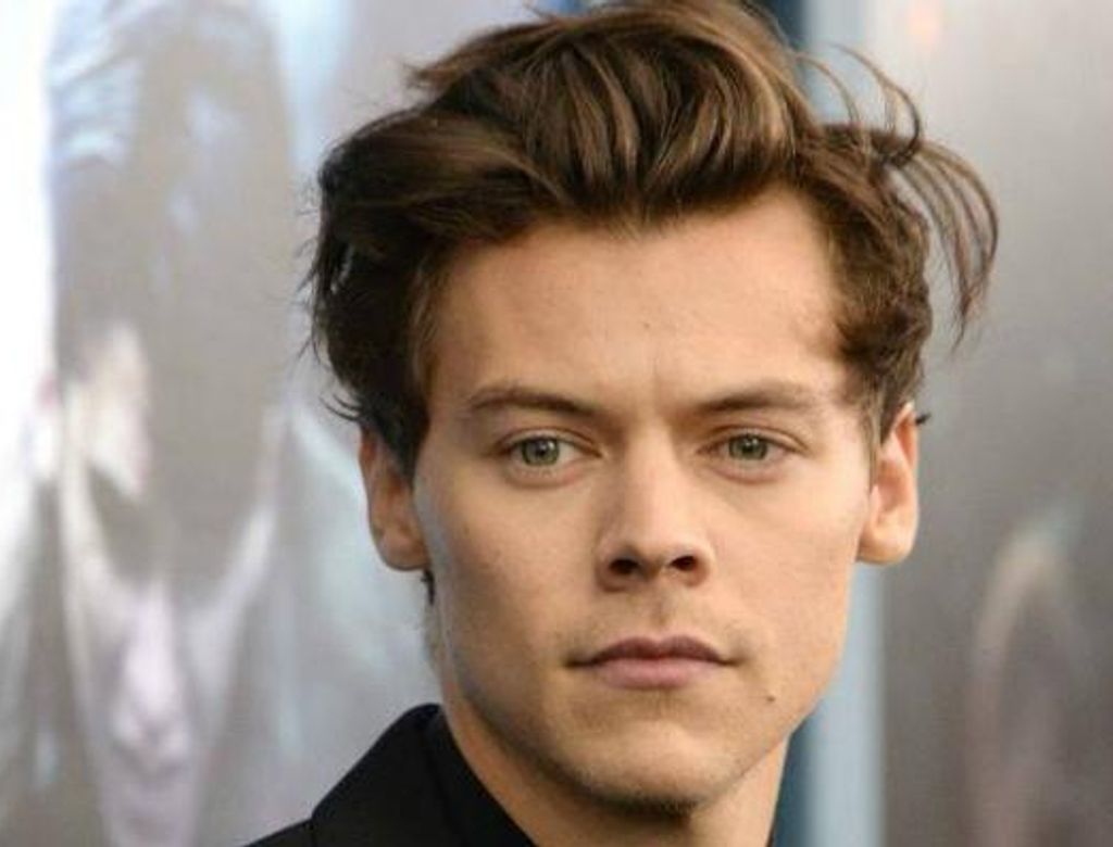 O cantor Harry Styles
