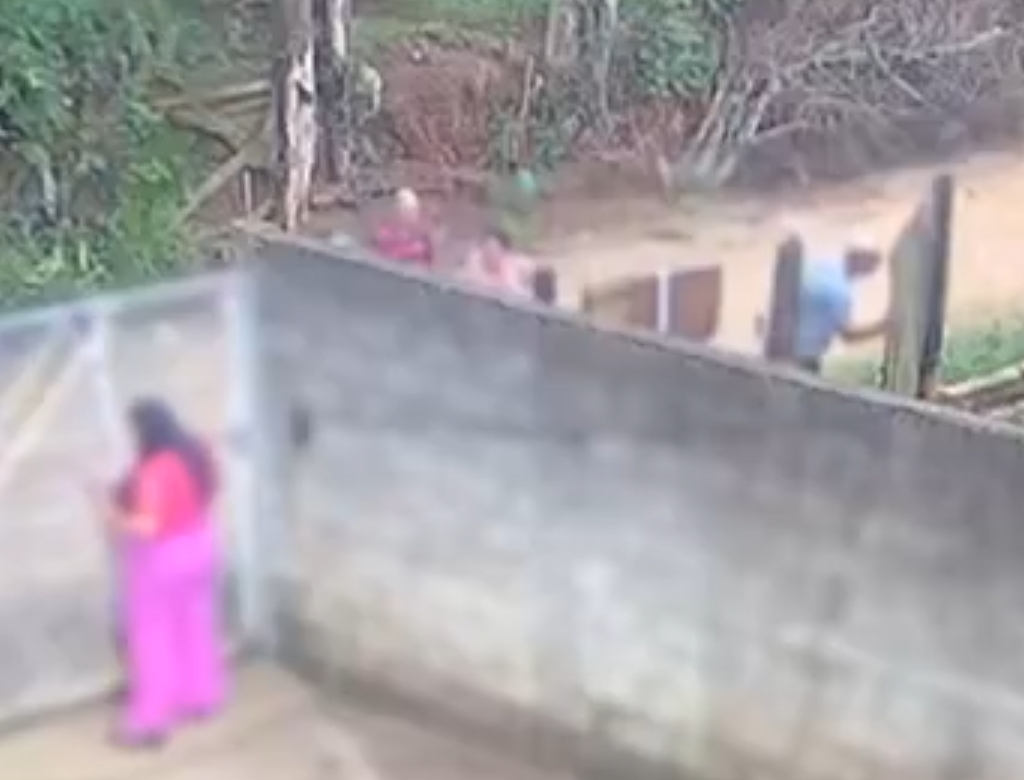 Ataque de pitbull (Foto Reprodução Redes Sociais) 