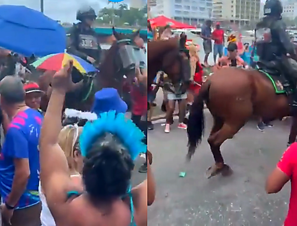 Desfile (Foto Reprodução Redes Sociais)
