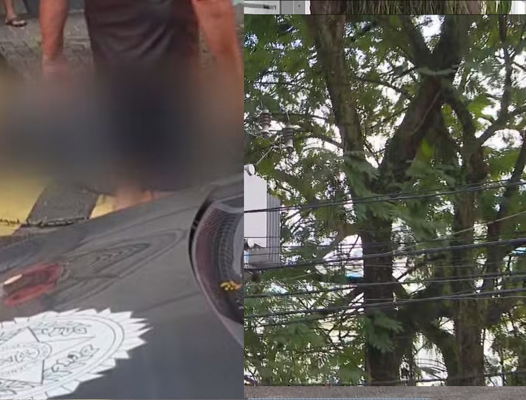 Idosa (Foto Reprodução TV Globo)