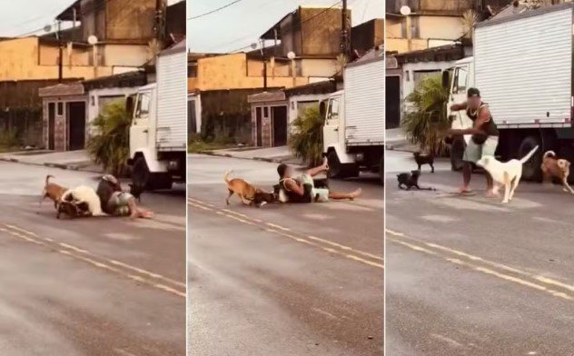 Ex-lutador usa “mata-leão” para salvar pinscher de ataque de pit bull; veja vídeo