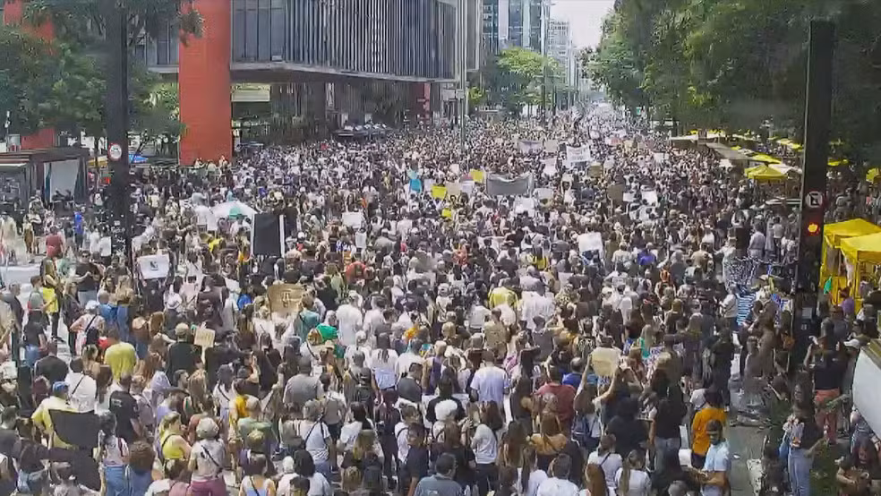 Manifestantes ocupam a Paulista e pedem justiça pela morte do cão Orelha; VÍDEO!