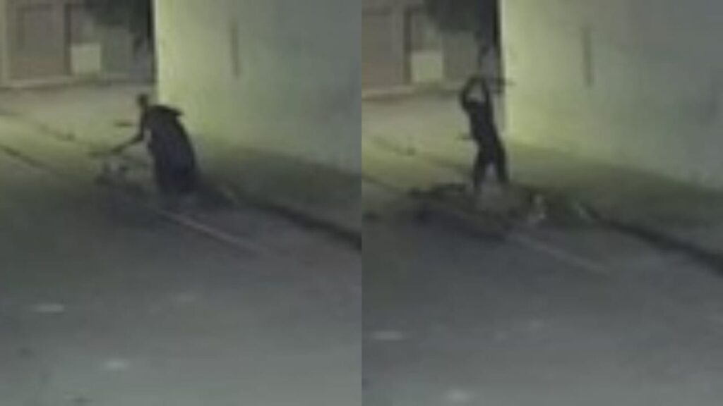 Vídeo mostra homem sendo agredido brutalmente a pauladas; ASSISTA!