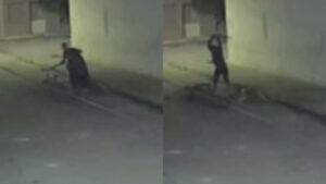 Vídeo mostra homem sendo agredido brutalmente a pauladas; ASSISTA!