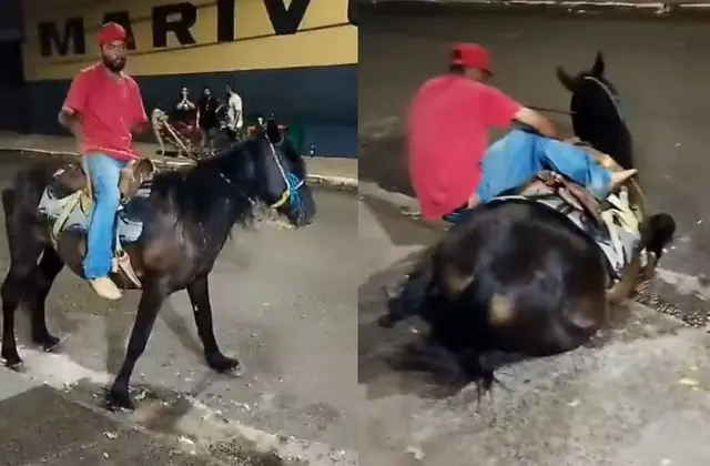 Vídeo registra cavalo exausto caindo mais de uma vez ao ser forçado à montaria; ASSISTA!