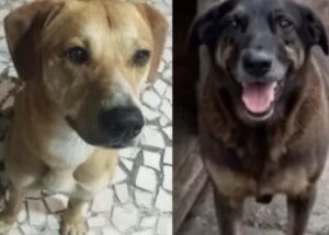 Mãe medicada e filho isolado: família de adolescente citado no caso Caramelo vive drama; OUÇA!
