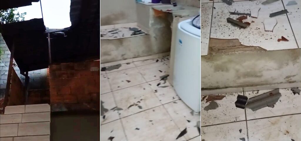 Boi cai de barranco e despenca dentro de casa durante a noite; VEJA VÍDEO