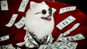 Pets podem receber sua herança no Brasil? Entenda