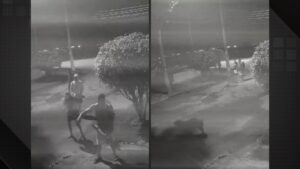 Câmeras flagram 8 homens espancando capivara na Zona Norte do Rio; ASSISTA!