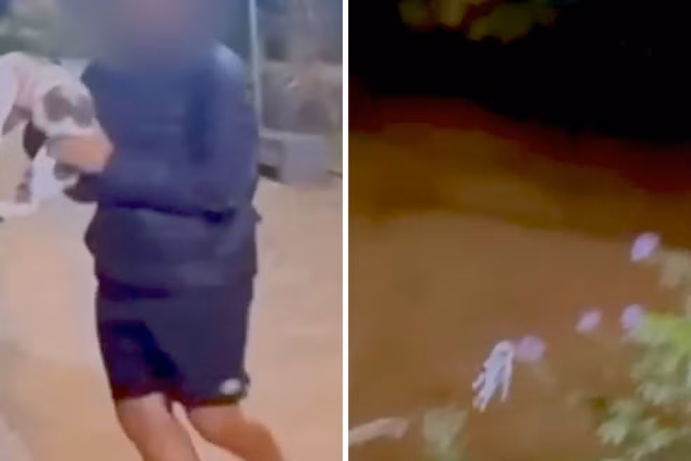 Adolescente é investigado após jogar gata em rio no interior de SP; VEJA VÍDEO!