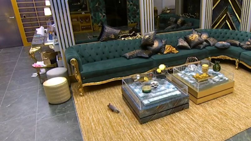 “Novo brother”? Gambá invade casa do BBB 26 durante festa; veja vídeo