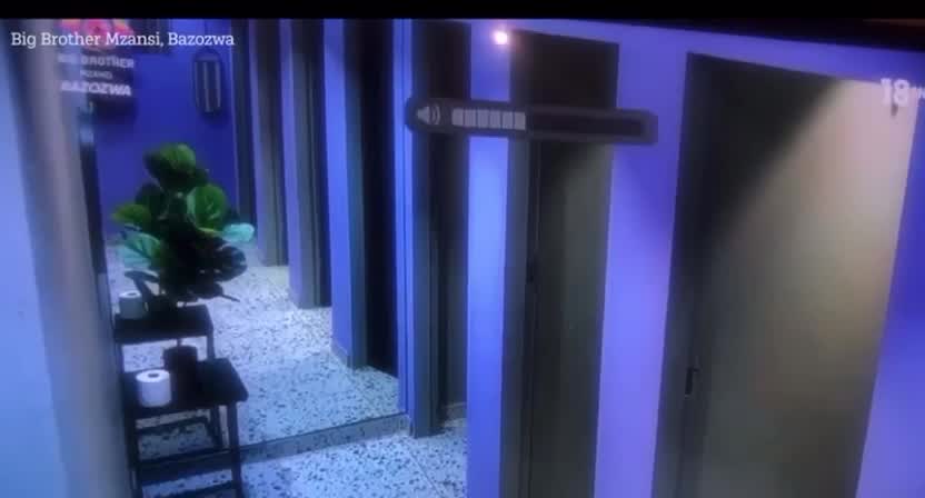 Cena íntima entre participantes em banheiro do Big Brother viraliza; veja vídeo