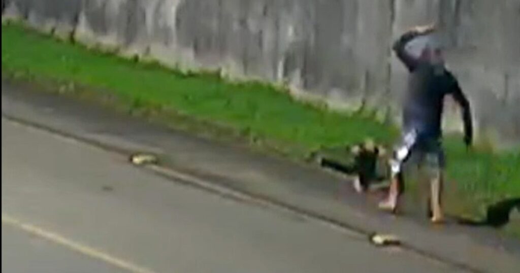 Homem mata tamanduá a pauladas e choca cidade de SC; VEJA VÍDEO!