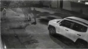 Suspeito preso por agredir capivara no RJ é apontado como autor de outro ataque