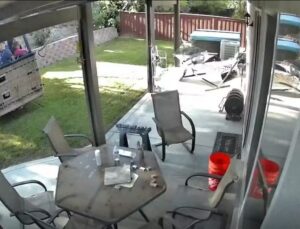 Balão faz pouso de emergência em quintal de casa e assusta moradores; VEJA VÍDEO