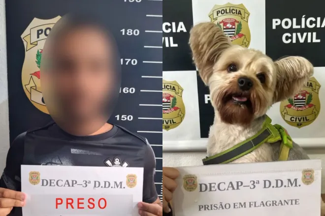 Homem é preso por usar disfarce para furtar cãozinho de ex de Pet shop de SP; VEJA VÍDEO!