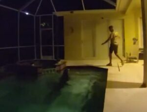 Jacaré enorme invade piscina em residência e assusta moradores; VEJA VÍDEO