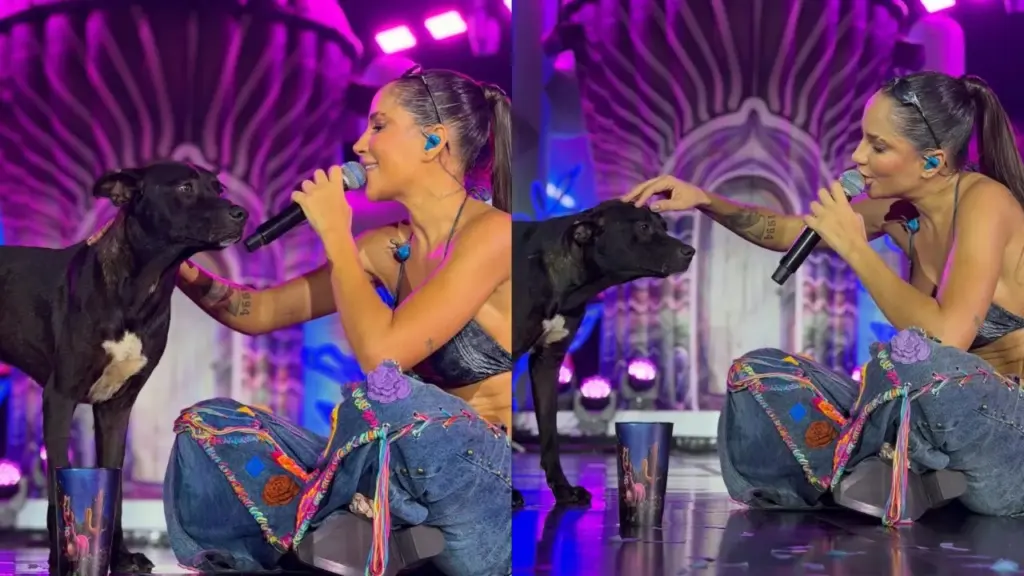 Cantora Michele Andrade adota cachorro de rua que invadiu palco durante show; veja vídeo