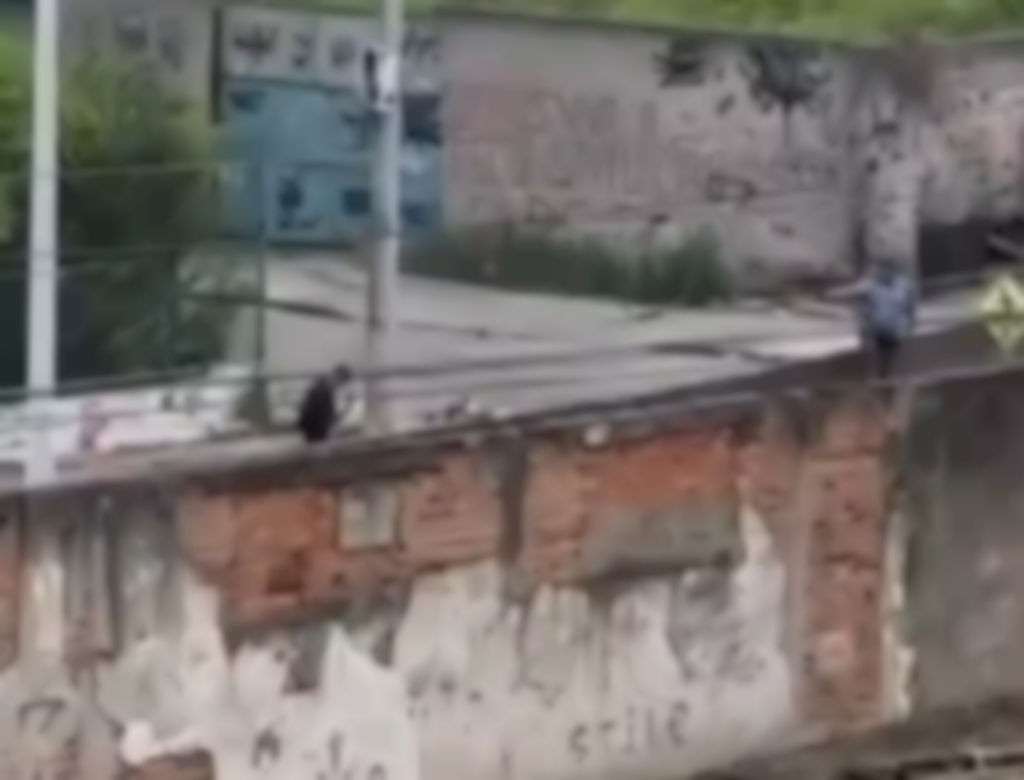 PM (Foto Reprodução Redes Sociais)