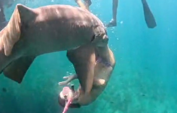Vídeo mostra ataque de tubarão a turista em Fernando de Noronha; veja