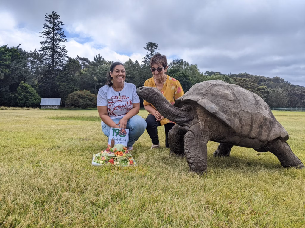 Morre aos 193 anos Jonathan, o animal terrestre mais velho do mundo