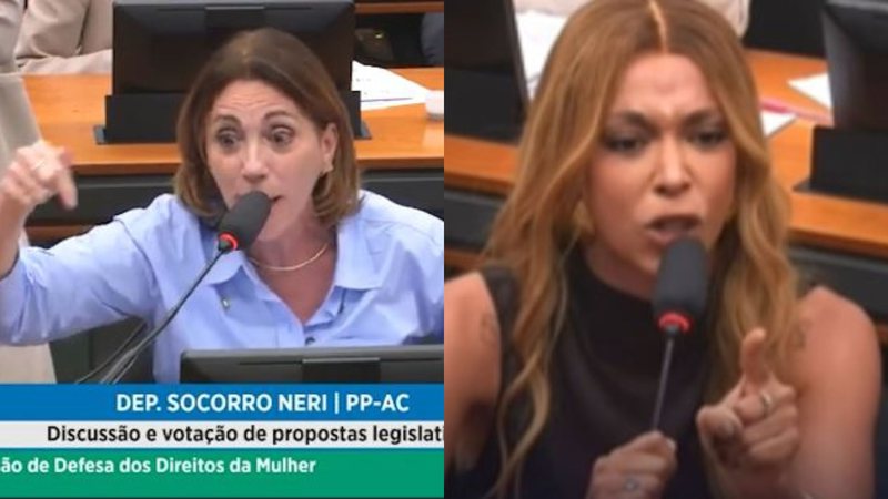 Deputada ameaça acionar Maria da Penha contra Erika Hilton durante reunião da Comissão da Mulher; veja vídeo