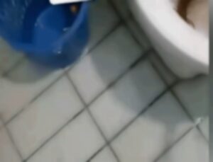 Turista encontra animal gigante antes de se sentar em vaso sanitário; VEJA VÍDEO