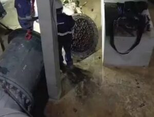 Égua é encontrada em adutora e deixa vários bairros sem água; VEJA VÍDEO