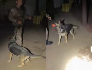 Idosa dona de bar é presa com drogas escondida em cascos de cerveja; VEJA VÍDEO