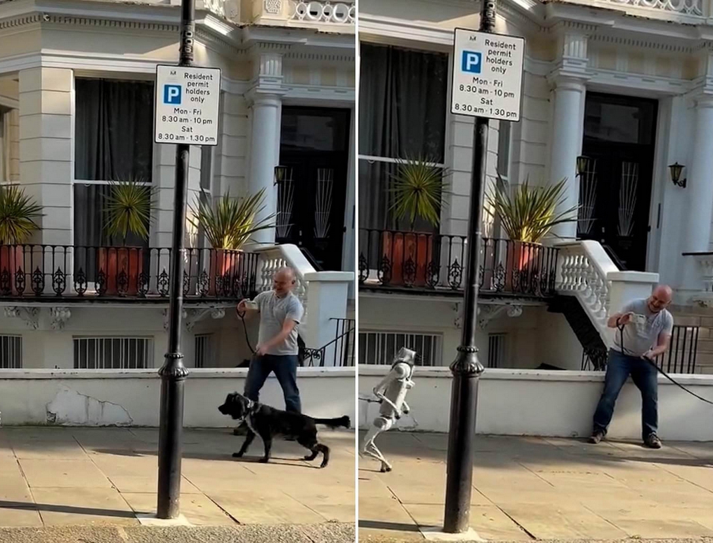 Robô e cachorro (Foto Reprodução Redes Sociais) 