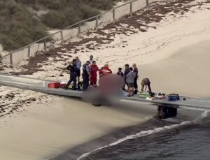 Mergulhador de 38 anos morre após ataque de tubarão em ilha turística; VEJA VÍDEO