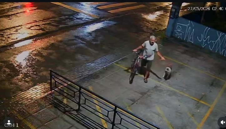 Homem abandona cadela em frente a academia no Recife; assista ao vídeo