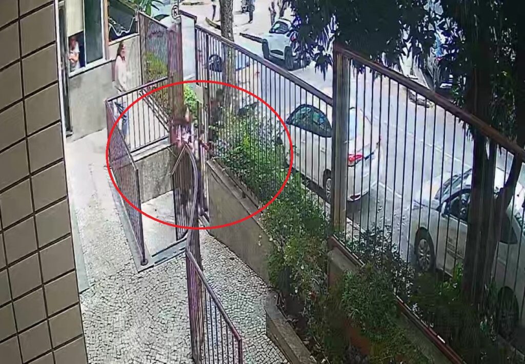 Jovem de 24 anos sofreu tentativa de assalto enquanto retornava para casa no Coração Eucarístico Foto: Arquivo pessoal