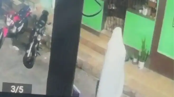 ‘Fantasma’ é flagrado furtando orquídea de idosa em BH; VEJA VÍDEO