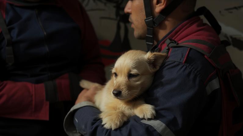 VÍDEO: Crianças e cachorro são resgatados com vida de escombros na Venezuela