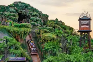 Adolescente cai de atração da Disney e despenca por cerca de 15 metros; VEJA VÍDEO!